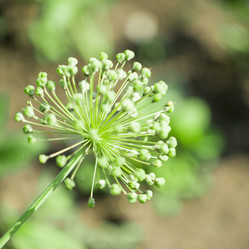 Similar image 17244213