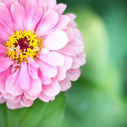 Similar image 17244214