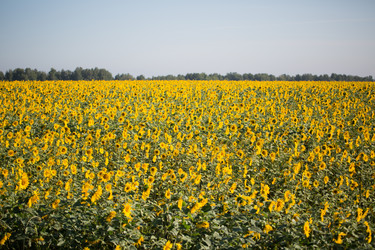 Similar image 17244215