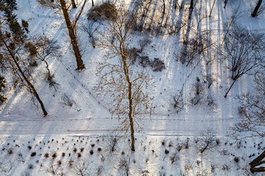 Similar image 17248672