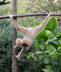 Similar image 17244180