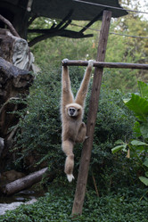 Similar image 17244181