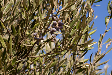 Similar image 17244221