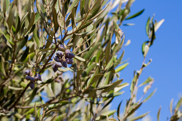 Similar image 17244222