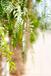 Similar image 17244226