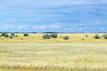 Similar image 17244241