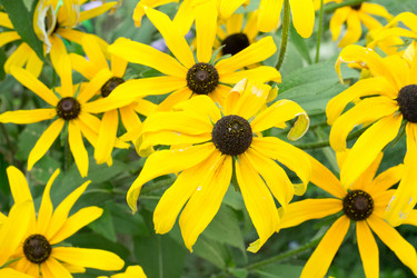 Similar image 17244261