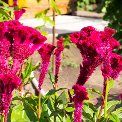 Similar image 17244227