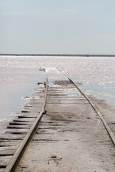 Similar image 17244233