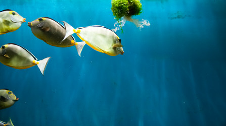 Similar image 17244269