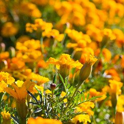 Similar image 17244238