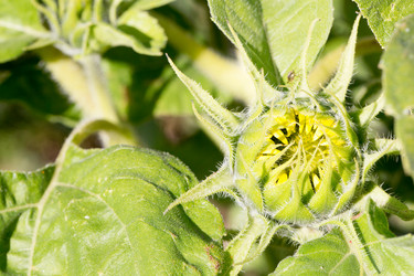 Similar image 17244240