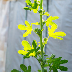 Similar image 17244253