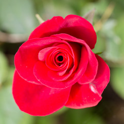 Similar image 17244284