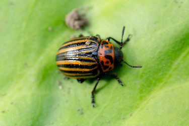 Similar image 17244259