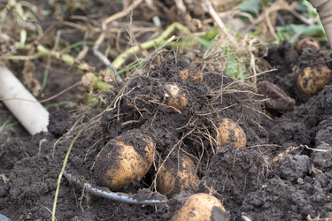 Similar image 17244260