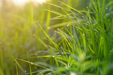 Similar image 17246120