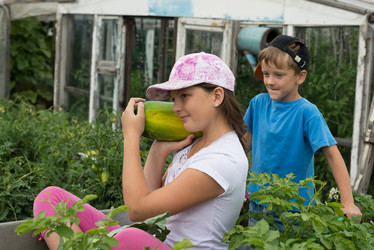 Similar image 16926803