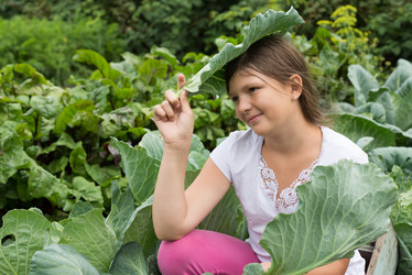 Similar image 16926804