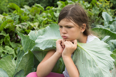 Similar image 16926805