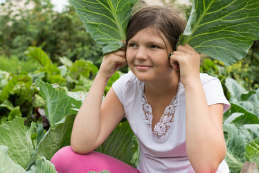 Similar image 16926806