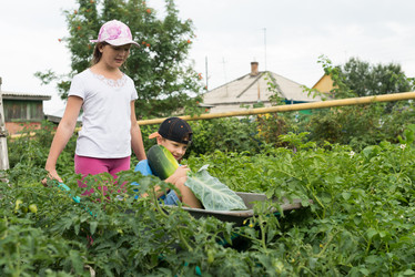 Similar image 17543109