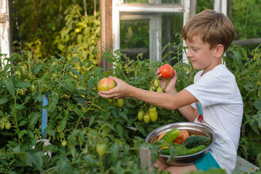 Similar image 16926807