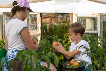 Similar image 16926810