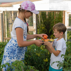 Similar image 16926811