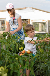 Similar image 17543110