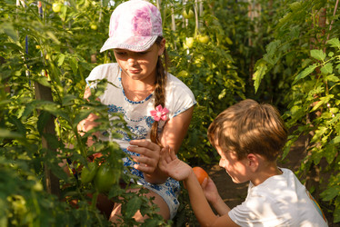 Similar image 16926827