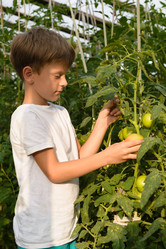 Similar image 16633563