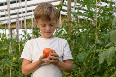 Similar image 16632755