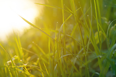 Similar image 17246072