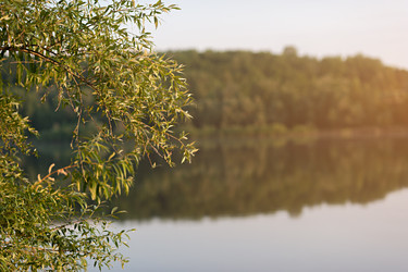 Similar image 17246126