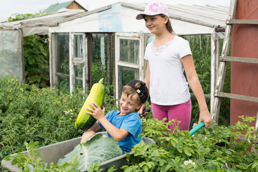 Similar image 16632892