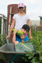 Similar image 16632910