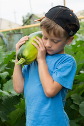 Similar image 16632937