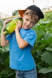 Similar image 16632938