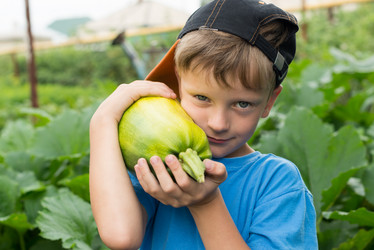 Similar image 16632939