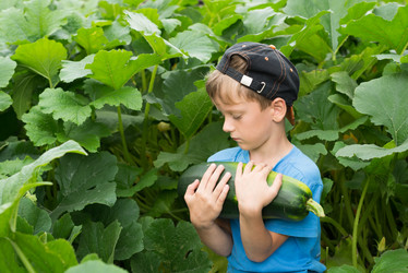 Similar image 16632941