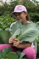 Similar image 16632947