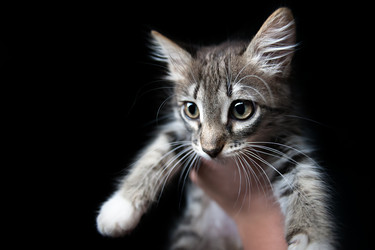 Similar image 17246079