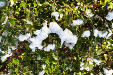 Similar image 17242202