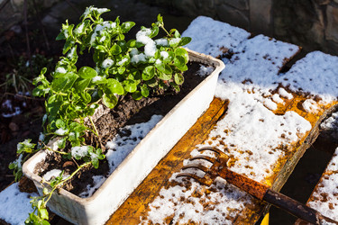 Similar image 17242221