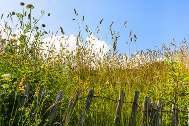 Similar image 17242317