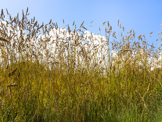 Similar image 17242339