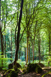 Similar image 17242400