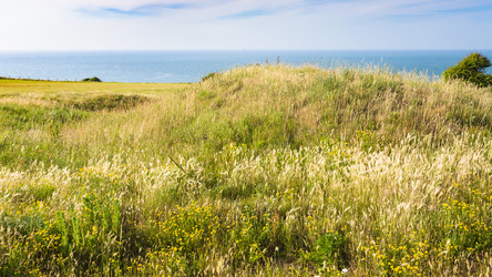 Similar image 17242518