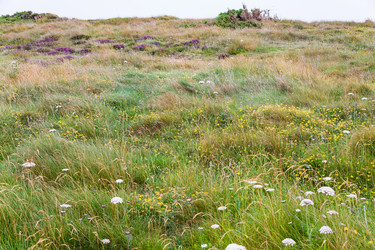 Similar image 17242597